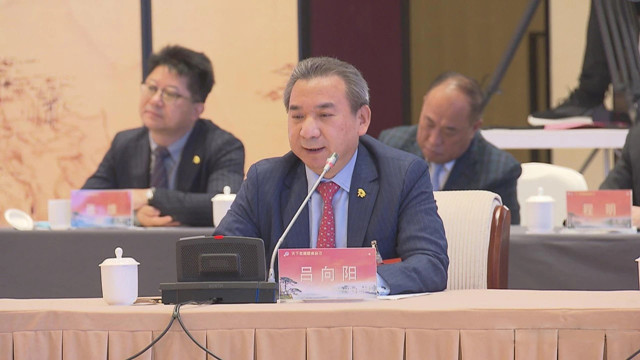 集團(tuán)董事長呂向陽在會(huì)議上發(fā)言.jpg